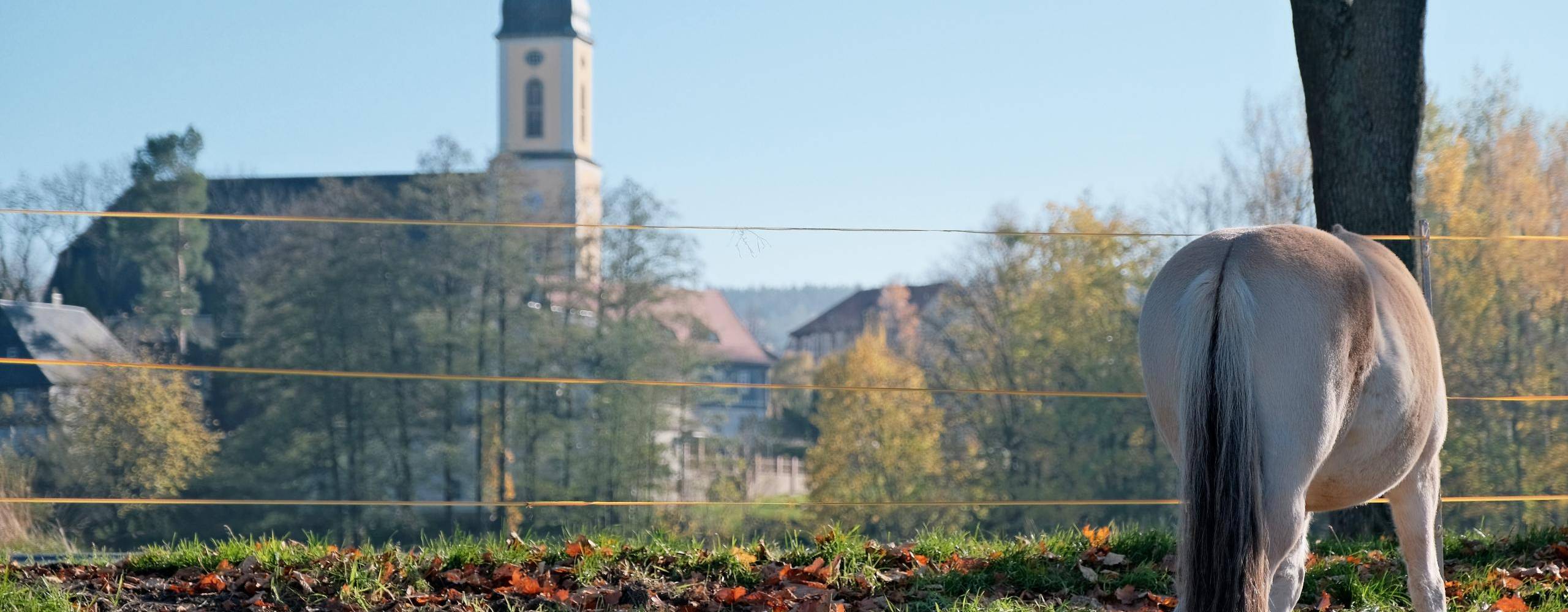 blick von nord aus der gemeinde c. hilse ©Blick auf Kirche Foto: Christian Hilse